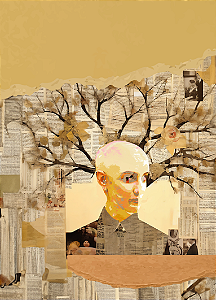 Do perecível ao perene - Líviarbítrio