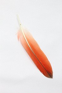 IKODIDE