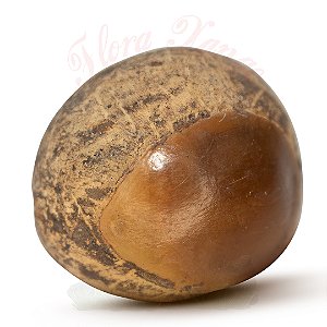 FAVA DE LOGUN EDE