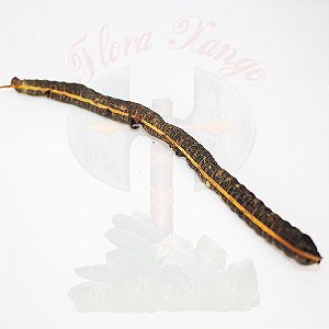 FAVA DE NANÃ