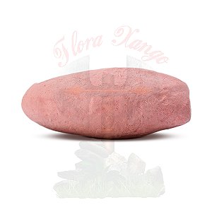 Pemba Rosa