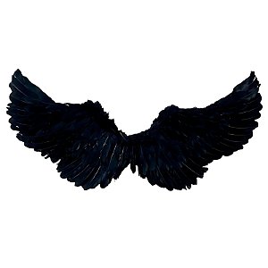 ASA DE ANJO PRETO - HALLOWEEN