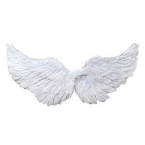 ASA DE ANJO BRANCO - HALLOWEEN