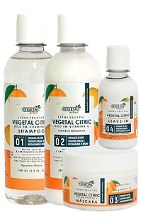 KIT ESPECIAL VEGETAL CITRIC-1,210ML