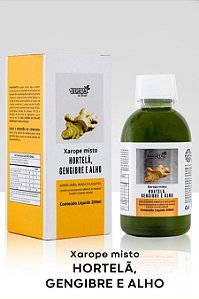 XAROPE GENGIBRE E HORTELA 250ML VB