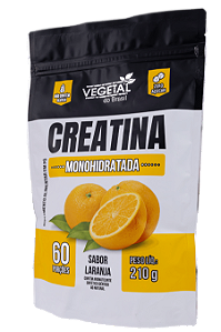 CREATINA MONOHIDRATADA SABOR LARANJA 210G VB