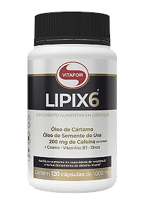 VITAFOR LIPIX 6 - 1000MG 120 CÁPSULAS