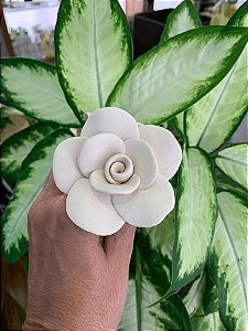 Flor de Ceramica - Reserva Brasil