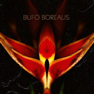 BUFO BOREALIS - DIPTERA - CD
