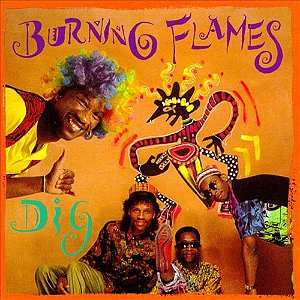 BURNING FLAMES - DIG- LP