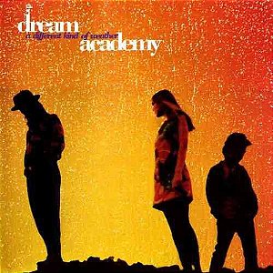DREAM ACADEMY - A DIFFERENT KIND OF WEATHER- LP