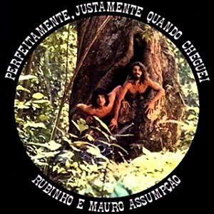 RUBINHO E MAURO ASSUMPÇÃO - PERFEITAMENTE, JUSTAMENTE QUANDO CHEGUEI- LP