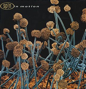 SPIN - IN MOTION- LP