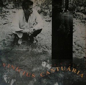 VINICIUS CANTUÁRIA - RIO NEGRO- LP