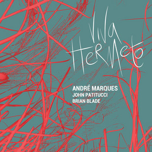ANDRÉ MARQUES - VIVA HERMETO - CD