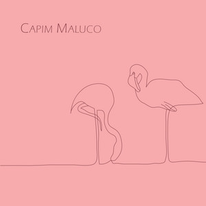 CAPIM MALUCO - FLAMINGO - CD