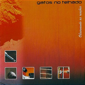 GATOS NO TELHADO - OBSERVANDO AS REAÇÕES - CD