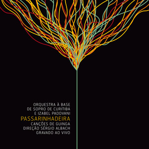 ORQUESTRA À BASE DE SOPRO DE CURITIBA - PASSARINHADEIRA - CD