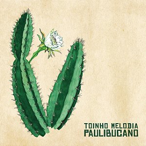 TOINHO MELODIA - PAULIBUCANO - CD