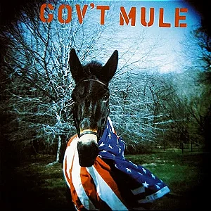 GOV'T MULE - CD