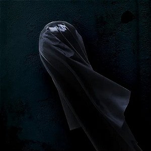 JASON - DISFORME - LP