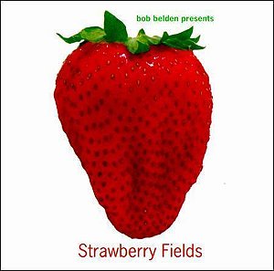 BOB BELDEN PRESENTS - STRAWBERRY FIELDS - CD