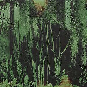 THE PROMISE RING - WOOD/WATER - CD