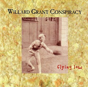 WILLARD GRANT CONSPIRACY - FLYING LOW - CD