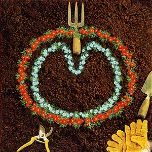 XTC - HOMEGROWN - CD