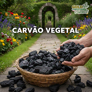 Carvão Vegetal Triturado Natural Plantas ( Biochar ) 10 litros