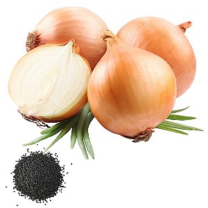 Semente Cebola