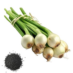Semente Cebola Conserva