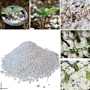 Perlita Expandida 50 litros Grow Cultivo Germinação Plantas Gold Plant