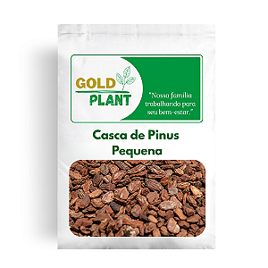 Casca de Pinus Polida Pequena para Decoração