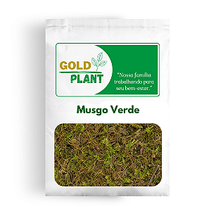 Musgo Verde Artesanato/Orquideas/Arranjos/Terrarios