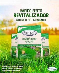 O Adubo/Fertilizante Revitalizador para Gramados Vithal
