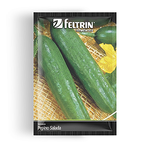 Semente Pepino Salada Verde