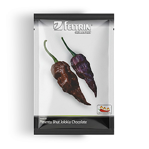 Semente Pimenta Chocolate