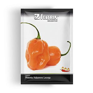 Semente Pimenta Habanero Laranja