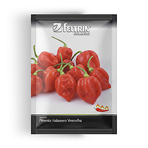 Semente Pimenta Habanero Vermelho