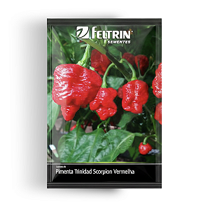 Semente Pimenta Trinidad Scorpion Vermelha