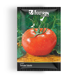 Semente Tomate Salada