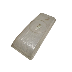 Lente Do Teto Para Ônibus