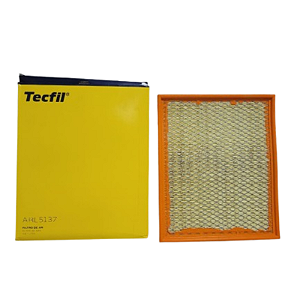 Filtro De Ar Renault Master Todos 2.8 02/04 DCI 2.5 04/10