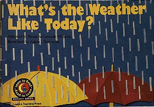 What's The Weather Like Today?