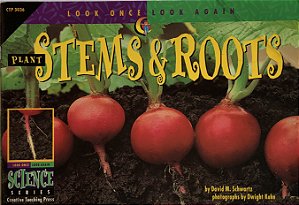Plant Stems & Roots