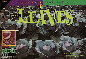 Plant Leaves