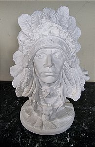 Busto Índio 28cm Gesso Cru