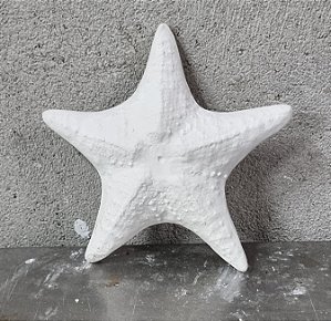 Estrela do Mar de Parede 13cm Gesso Cru