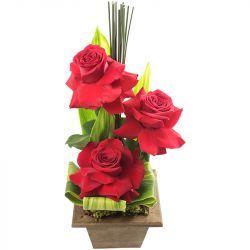 Arranjo trio de rosas colombianas em caixa de madeira